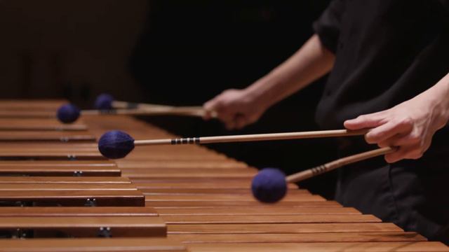 SUSURRUS for solo marimba - Philip Carlsen смотреть онлайн