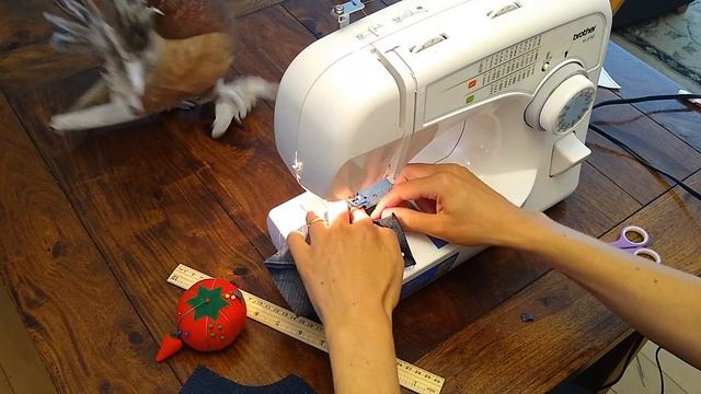 How To Make Pigeon Pants/Pigeon Diaper