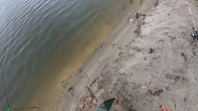Ловля карася и сазана. Рыбалка в Амурской области. Прядчино. смотреть онлайн