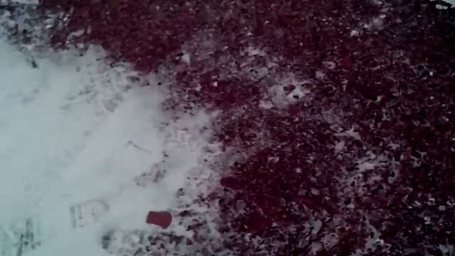 ЭКЗАМЕН НА ПРАВА СДАЮ категории С смотреть онлайн