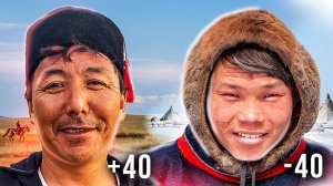 Ненцы и калмыки: чем похожи эти кочевые народы | Факты