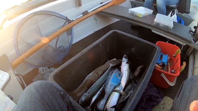 Мы ЕГО все таки нашли. Два дня рыбалки. смотреть онлайн