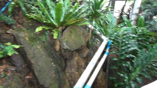 Ко Чанг. Обзор отеля Aana Resort & Spa 4*