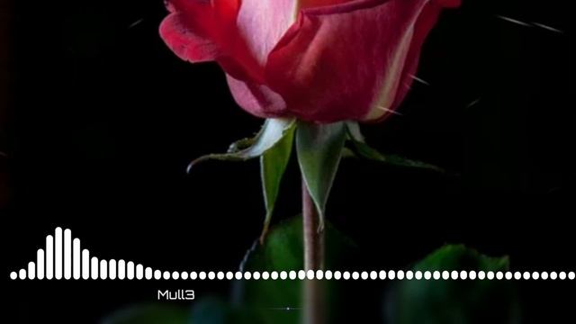 Mull3. Rose?. Remix?? смотреть онлайн