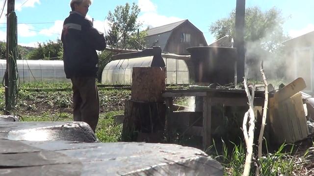 Сборы листов и цветов для чая//Как удобно и бюджетно подвязать горох смотреть онлайн