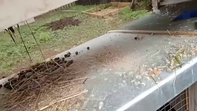 Бункерные кормушки для кроликов, своими руками смотреть онлайн