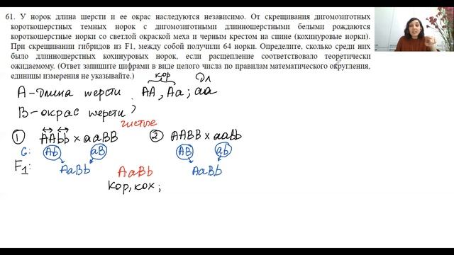 Разбор задачи по генетике на дигибридное скрещивание. Задача с норками. смотреть онлайн