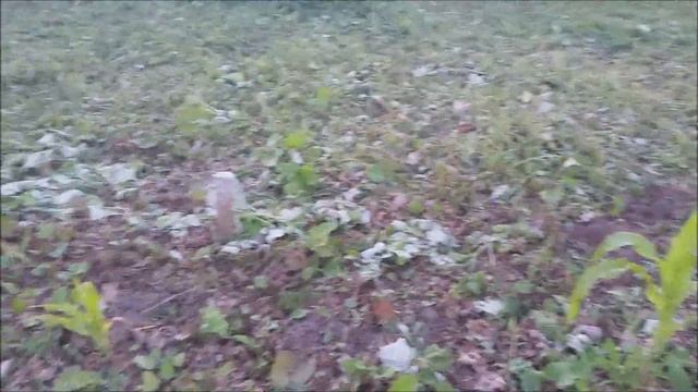 биогумус в огороде часть2 смотреть онлайн