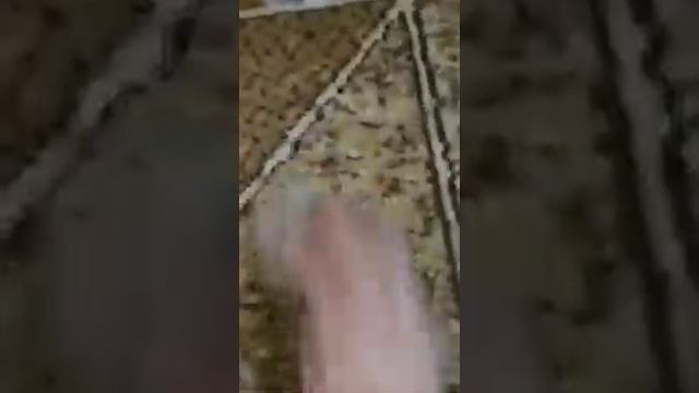 Как легко почистить пятна на ковре смотреть онлайн