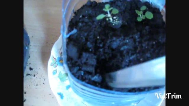 Ремонтный Разбор