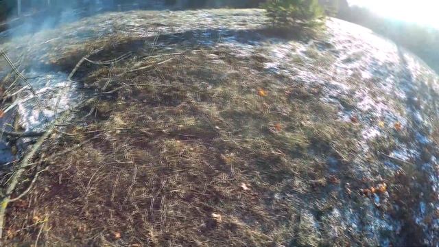 Пилим деревья на участке. Жгем сырые ветки без бензина! смотреть онлайн