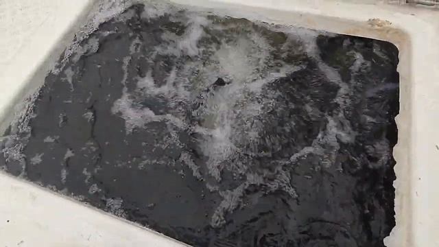 Партия Карельской Форели на водоёме смотреть онлайн