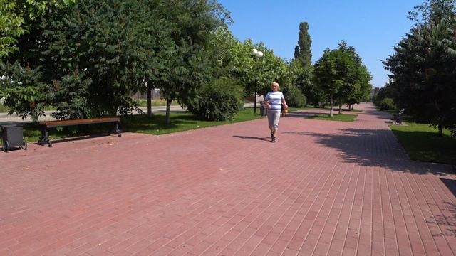 Собаки любят играть и общаться со своим хозяином. смотреть онлайн
