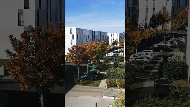 Осень украшает городок Шенефельд Германия смотреть онлайн