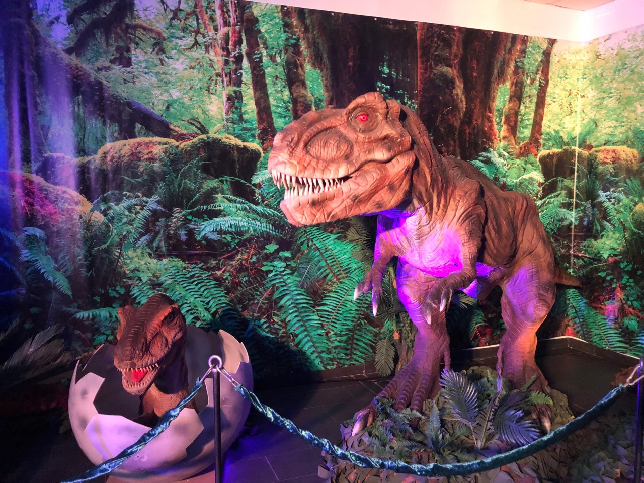 Взгляд в прошлое: выставка динозавров в 2019 г. смотреть онлайн