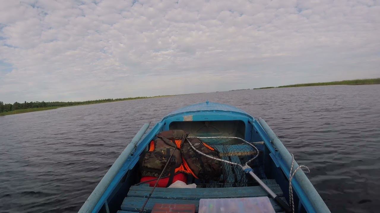 GOPR2445 смотреть онлайн