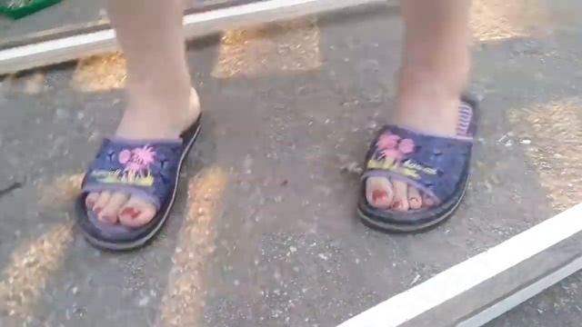 12.08.2020 В саду. Спасаем Клематис. Пергола своими руками. Павлик рядом. смотреть онлайн