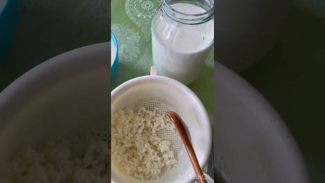 Сметана из молочного гриба смотреть онлайн