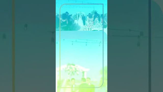 Majestic Event Planning. German & Lidia 09/09/2018 смотреть онлайн