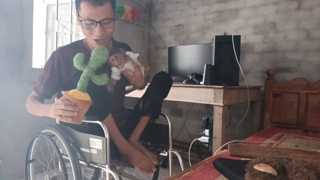 Baby monkey Sun was surprised with a cactus imitating Nam's father's words смотреть онлайн