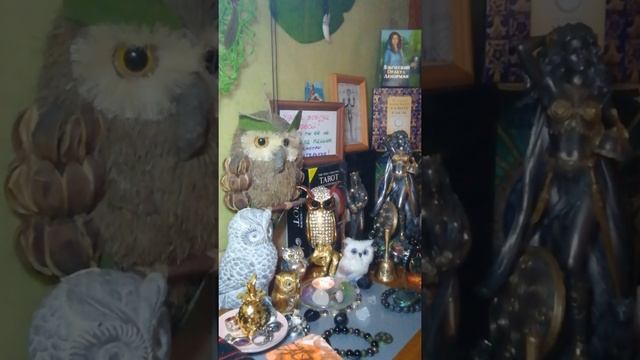 Почему Совы? А какое ваше тотемное животное? смотреть онлайн