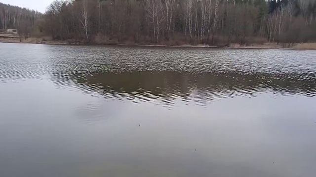 РЫБАЛКА НА УДОЧКУ С БЕРЕГА. Открываем сезон. РЫБАЛКА ВЕСНОЙ смотреть онлайн