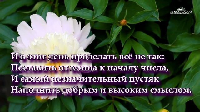 "А может просто встать с другой ноги" Наталья Гондарь (С добрым утром) Читает Леонид Юдин смотреть онлайн