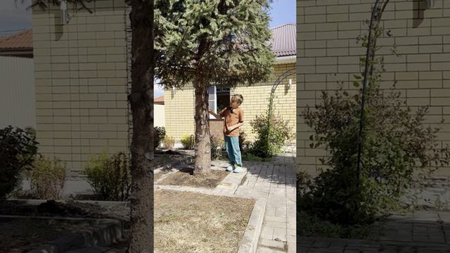 Прогулка по саду с Костиком. смотреть онлайн