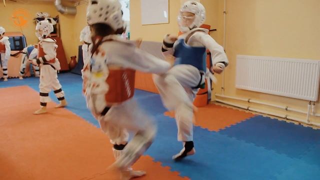 Тренировка по тхэквондо WT в средней группе смотреть онлайн