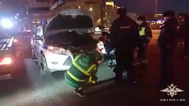В Москве полицейские спасли котенка, забравшегося в моторный отсек патрульного авто смотреть онлайн