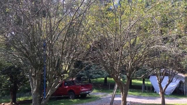 Сажаю медоносные кустарники смотреть онлайн