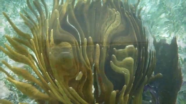 ПУТЕШЕСТВИЕ И ОТДЫХ В МЕКСИКЕ. 10 ЛУЧШИХ ПЛЯЖЕЙ. смотреть онлайн