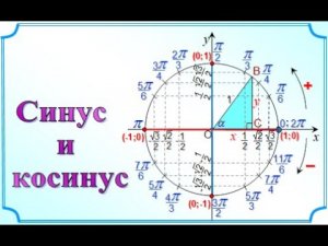 4. Синус и косинус. 10 класс