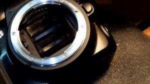 Nikon D3100. Чёрные снимки, заклинило зеркало ( Black pictures, jammed mirror )