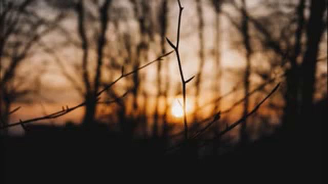 Сура Иброхим 14 аят [38-52] Чтец Корана : عبدالرحمن مجلي смотреть онлайн