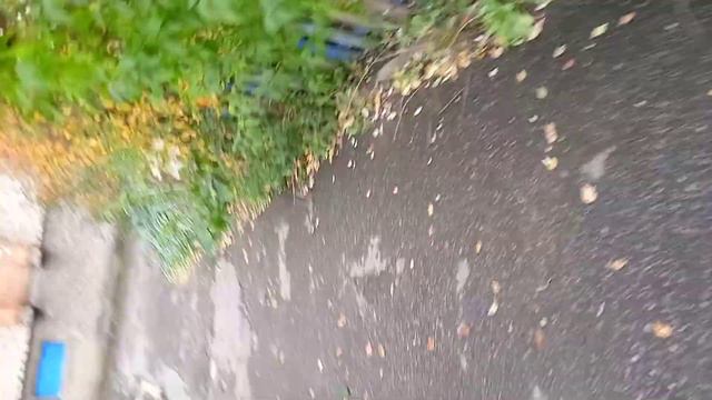 город Мозырь смотреть онлайн