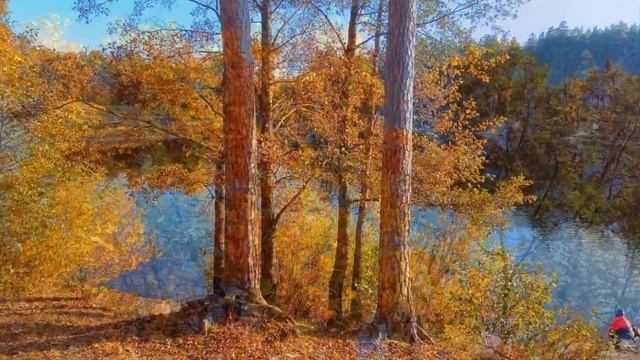 Город Заречный .Пензенская область . Осенняя палитра . Autumn day. смотреть онлайн