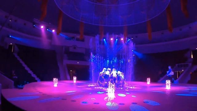 Цирк день 6 Прогон, лицом по манежу и Игорь. Просто Игорь смотреть онлайн
