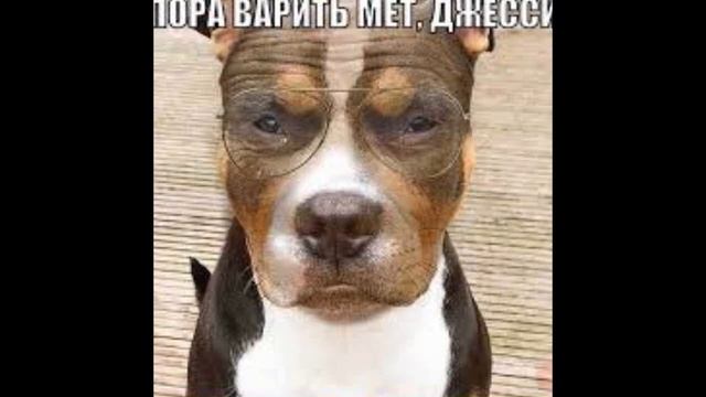 Джесси, пора варить... смотреть онлайн