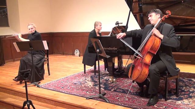 Classical flute music Haydn Trio in D Major - Sofia de Salis смотреть онлайн