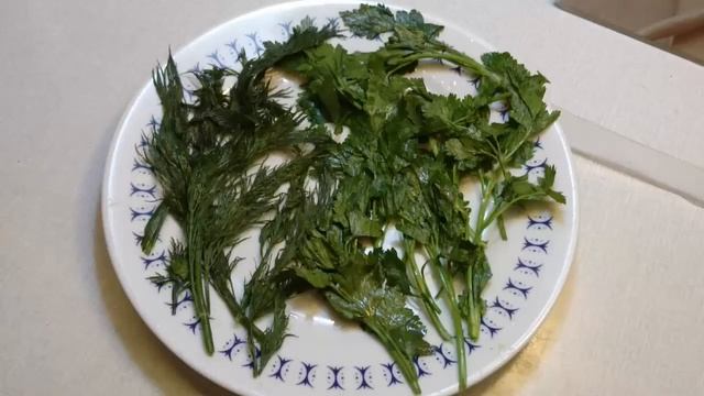 ВАКУУМАТОР ОБЗОР ЧАСТЬ II Как сохранилась в упаковке свежая зелень петрушки и укропа Честный обзор смотреть онлайн