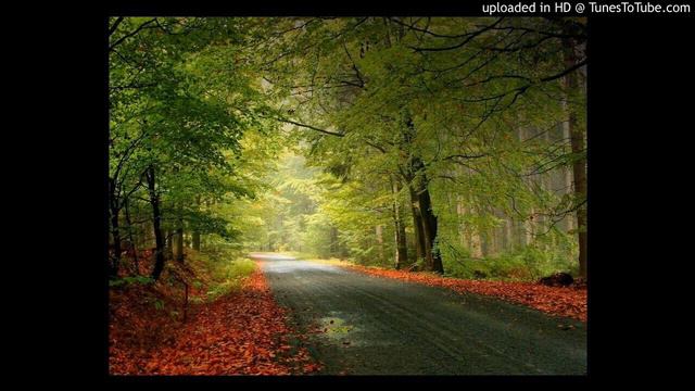 Ahmad_Bukhatir -NAAT Album - Al-Qodso-08 - Zayed Al Wafaa смотреть онлайн