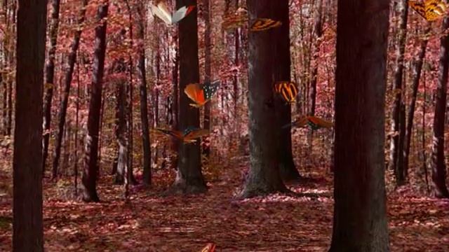 Allegretto from Palladio by Karl Jenkins смотреть онлайн