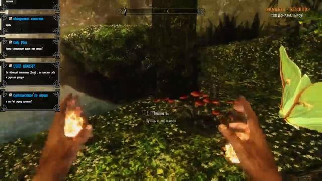 Skyrim: Project AHO - Прохождение на русском Часть #1 НАЧАЛО смотреть онлайн