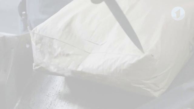 Детская познавательная программа 
