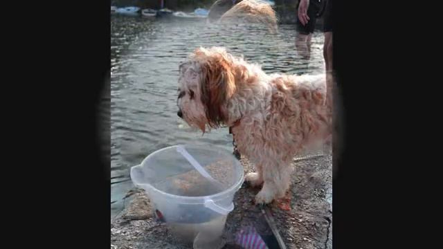 Social Sailing Weekend смотреть онлайн