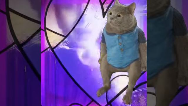 Olya MANCUSO’s песня кота Леопольда смотреть онлайн