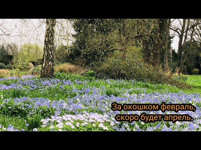 За окошком февраль, скоро будет апрель. смотреть онлайн