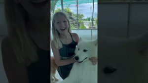 Милана и СНЕЖНЫЙ ПЁС