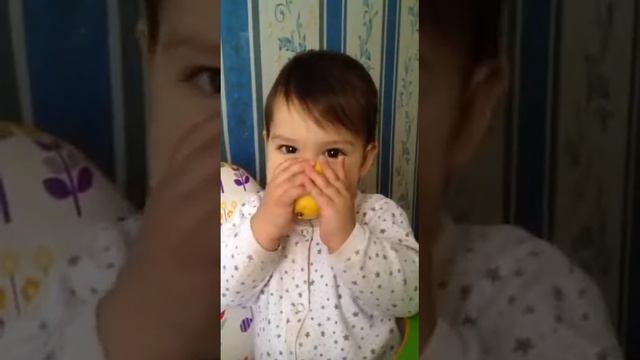 Девочка кушает лимон смотреть онлайн